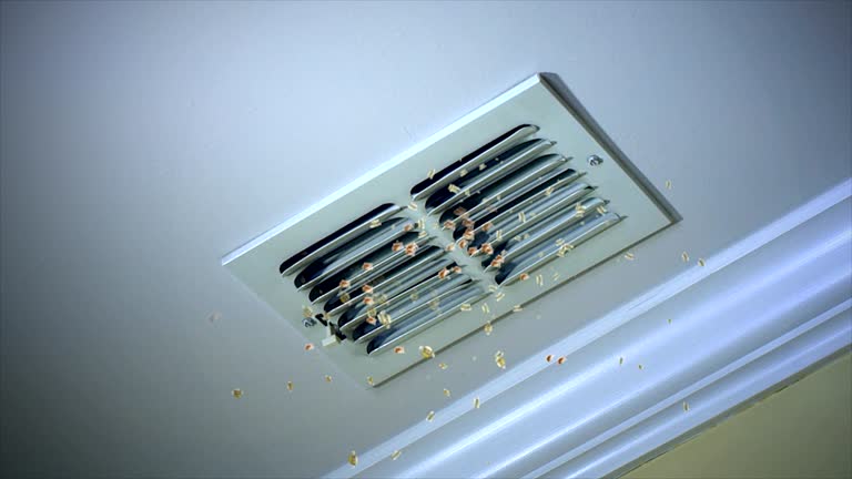 Best Professional Duct Cleaning Services  in South Hill, WA